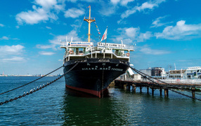 Большой пассажирский корабль NYK Hikawamaru в море 