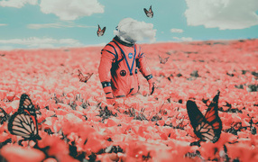 Космонавт идет по полю с бабочками и красными маками