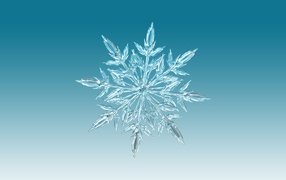 Beautiful ice snowflake on a blue background close up