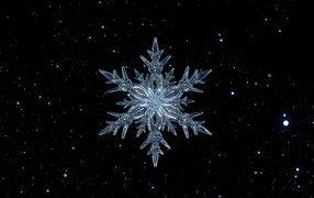 Beautiful icy snowflake on black starry sky
