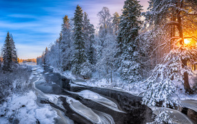 Холодная ледяная река у покрытых инеем деревьев в лучах солнца
