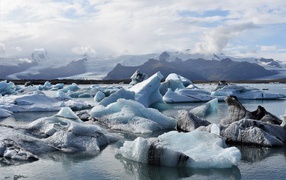Large ice floes in the water near the mountains