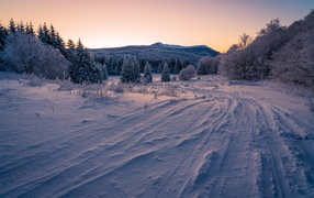 Дорога на снегу в зимнем лесу 