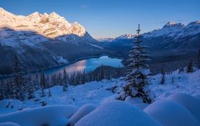 Beautiful view of winter Banff National Park, Canada