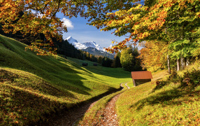 Beautiful green nature of the Alps, Germany