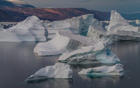 Large white icebergs in water, Arctic