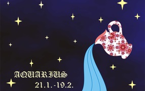 Знак зодиака водолей стихия воздух