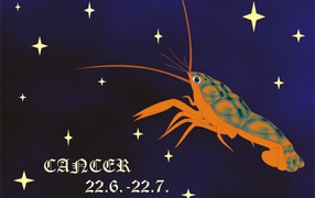 Знак зодиака рак стихия вода