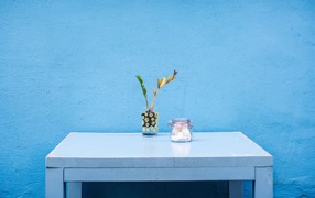 A table with a flower stands against a blue wall