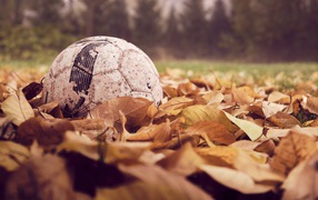 Старый футбольный мяч в сухой листве 