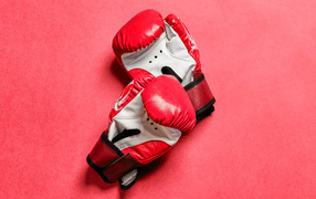 Red boxing gloves on pink background