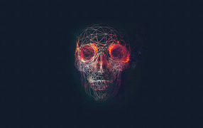 Abstract skull made from spider web on black background