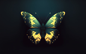 Beautiful butterfly on a black background 3d graphics