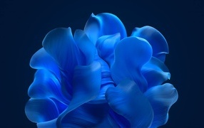 Blue abstract flower wallpaper for windows 11