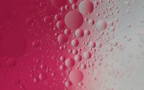 Bubbles on a gray-pink background