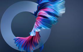 Круг и разноцветные волны на сером фоне