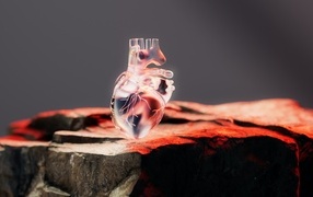 Glass 3D heart on stone