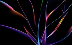 Multicolored neon waves on a black background