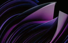 Фиолетовые абстрактные лепестки на черном фоне