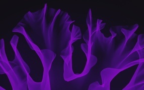 Purple pattern on black background