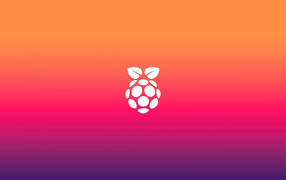 Белая ягода на розовом фоне