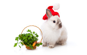 Cute rabbit with a basket of greens on a white background