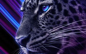 Голова леопарда с голубыми глазами