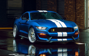 Sports car Shelby GT350 on wet pavement