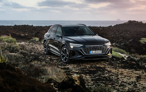 Черный автомобиль Audi SQ8 E-Tron Quattro на бездорожье