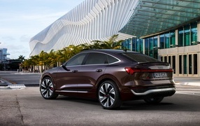 Автомобиль Audi Q8 Sportback 55 E-Tron Quattro вид сзади