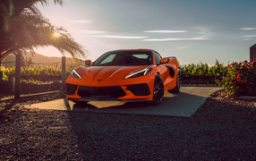 Автомобиль Chevrolet Corvette C8 в лучах солнца