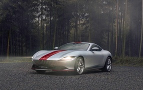 Автомобиль Ferrari Roma 30th Anniversary 2023  в лесу