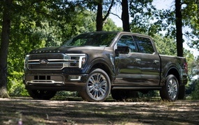 Большой пикап Ford F-150 Platinum 2024 года