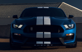 Car Ford Mustang Shelby GT350 front view