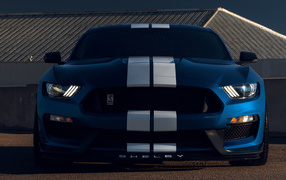 Автомобиль Ford Mustang Shelby GT350  вид спереди