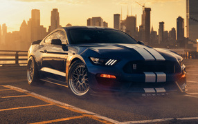 Car Ford Mustang Shelby GT350 on the background of the city