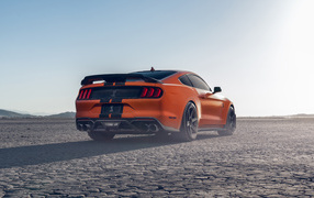 Quick Ford Shelby GT500 rear view