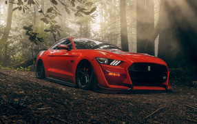 Red Ford Mustang GT car in the forest