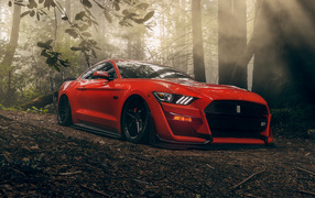 Красный автомобиль Ford Mustang GT в лесу