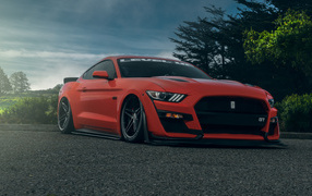 Красный автомобиль Ford Shelby GT500  на дороге