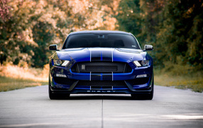 Sports car Ford Shelby GT350 on the road