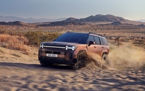 Внедорожник Hyundai Santa Fe 2024 года в пустыне
