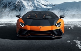 Спортивный Lamborghini Aventador LP 780-4 Ultimae Roadster 2023 года вид спереди