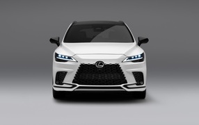 Front view of the car Lexus RX 500h F SPORT