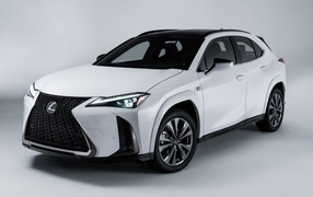 White car Lexus UX 250h AWD F SPORT, 2023 on a gray background