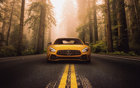 Mercedes-Benz AMG GT R car on the track in the forest