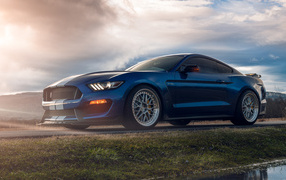 Синий Shelby GT350 стоит у воды
