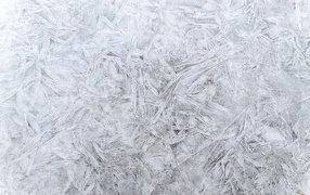 Стена покрашена белой краской для фона