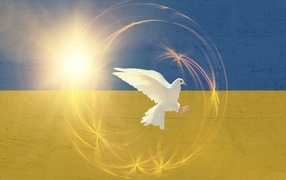 White dove on the background of the flag of Ukraine