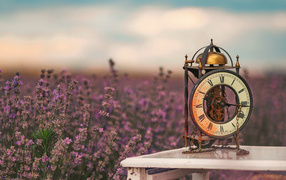 An antique clock stands on a table near a lavender field